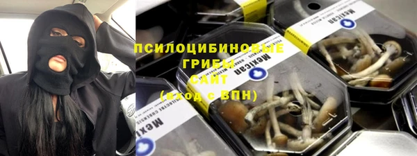 стаф Верея