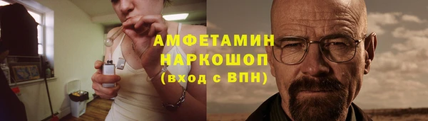 стаф Верея
