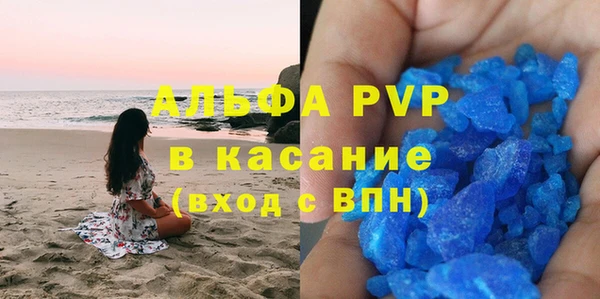 стаф Верея
