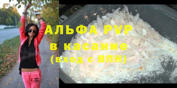 стаф Верея