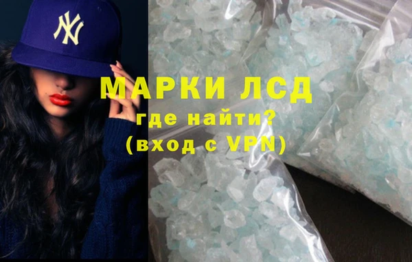стаф Верея