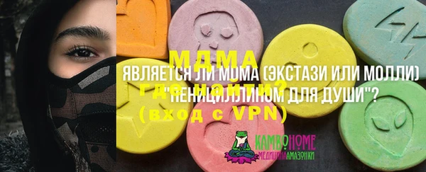 стаф Верея